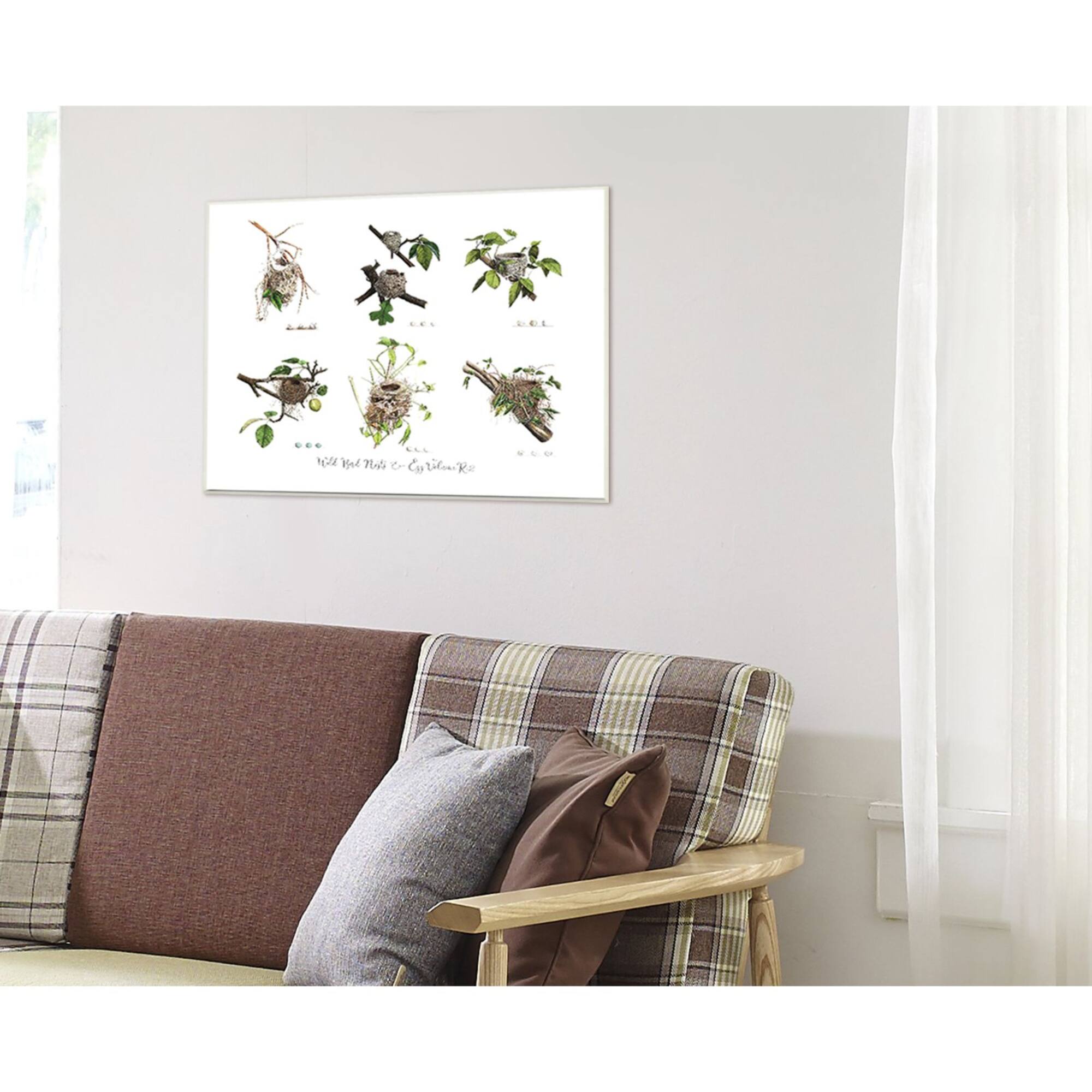 Stupell Industries Bird Nest Identification Wall Plaque